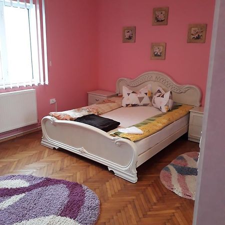 Casa Ade Apartment Calimanesti Ngoại thất bức ảnh