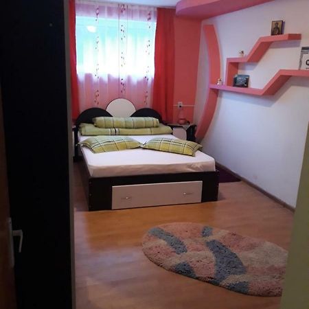 Casa Ade Apartment Calimanesti Ngoại thất bức ảnh