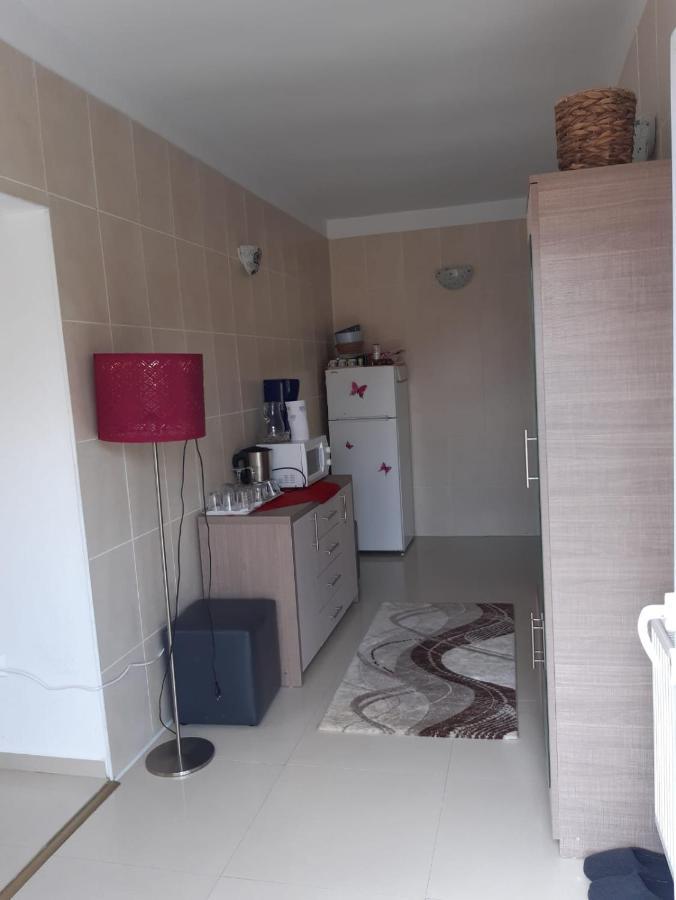 Casa Ade Apartment Calimanesti Ngoại thất bức ảnh