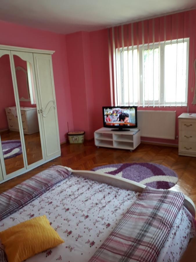 Casa Ade Apartment Calimanesti Ngoại thất bức ảnh