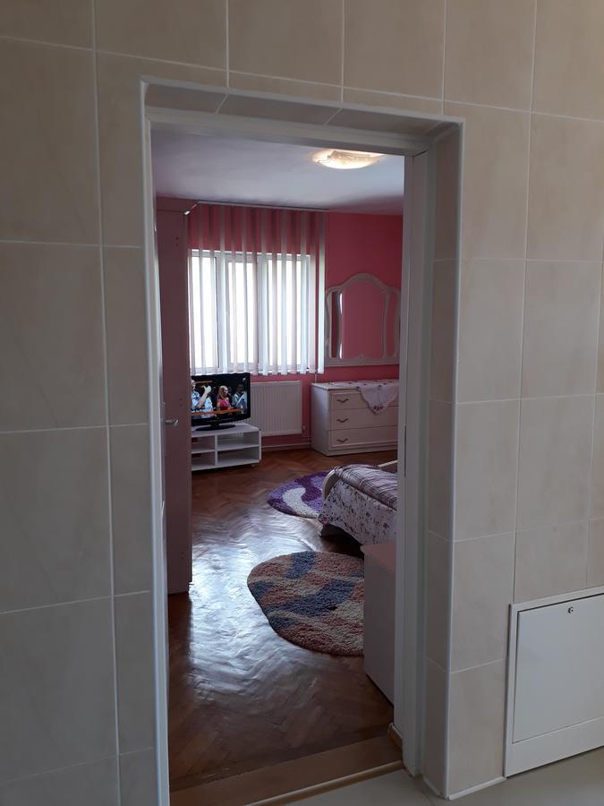 Casa Ade Apartment Calimanesti Ngoại thất bức ảnh