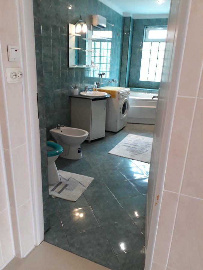 Casa Ade Apartment Calimanesti Ngoại thất bức ảnh
