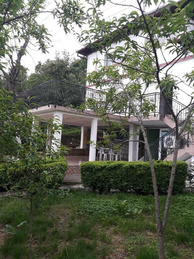 Casa Ade Apartment Calimanesti Ngoại thất bức ảnh