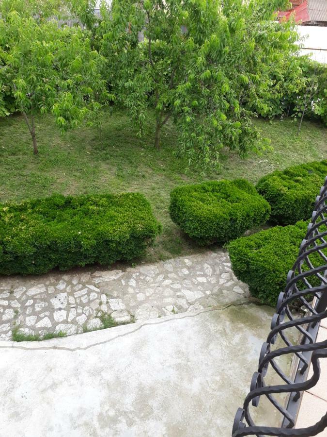 Casa Ade Apartment Calimanesti Ngoại thất bức ảnh