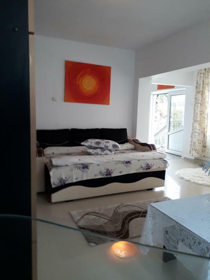 Casa Ade Apartment Calimanesti Ngoại thất bức ảnh