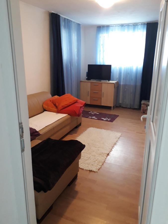 Casa Ade Apartment Calimanesti Ngoại thất bức ảnh